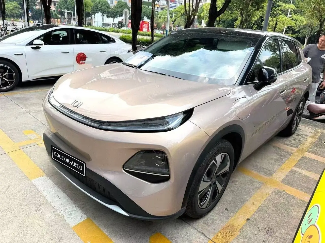 Changan Qiyuan Q05 506 Max, фото 1