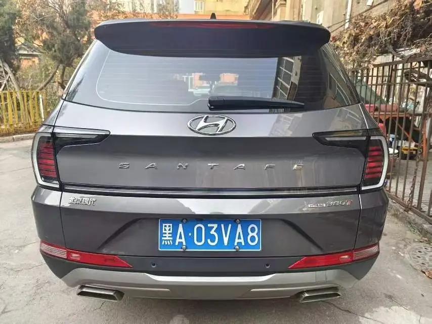 Hyundai Santa Fe 2.0T, фото 10