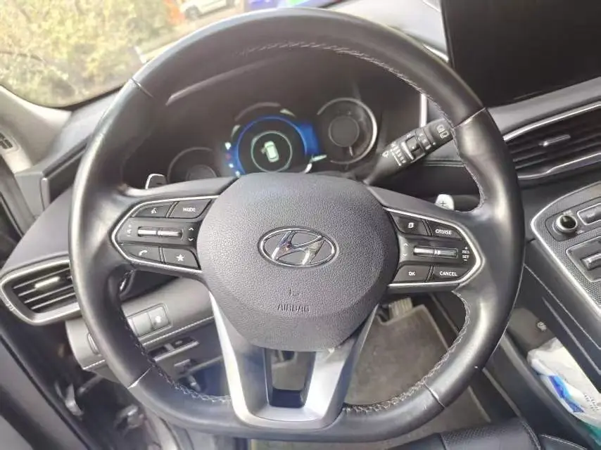 Hyundai Santa Fe 2.0T, фото 6