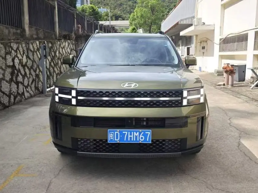 Hyundai Santa Fe 2.0T, фото 2