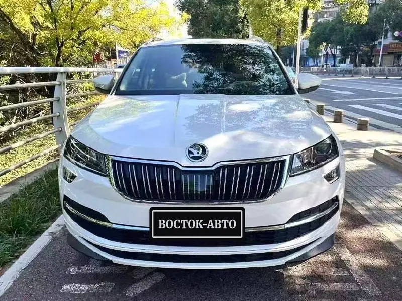 Skoda Karoq 1.4 TSI DSG, фото 1