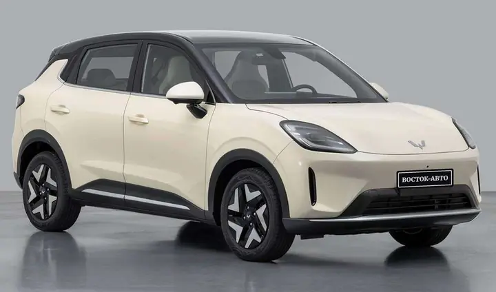 Wuling Bingo S