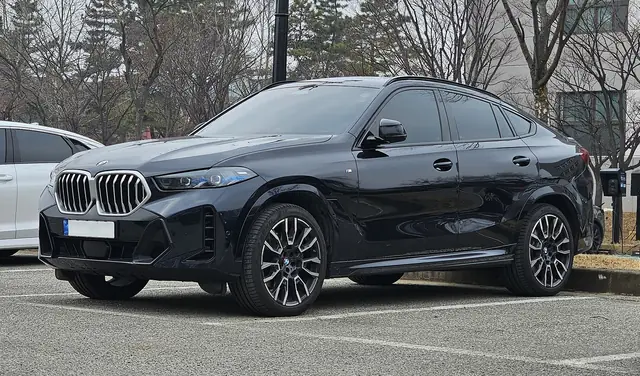 BMW X6